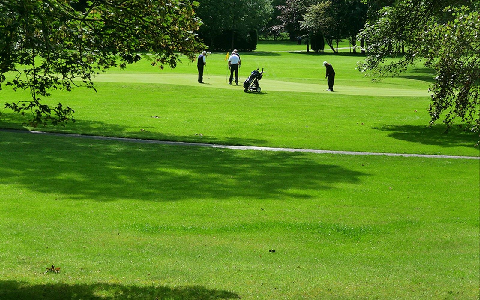 Adare Manor parkland course after the 2018 Tom Fazio rebuild, gallery ropes in place, adult spectators on the bank, flat midland light