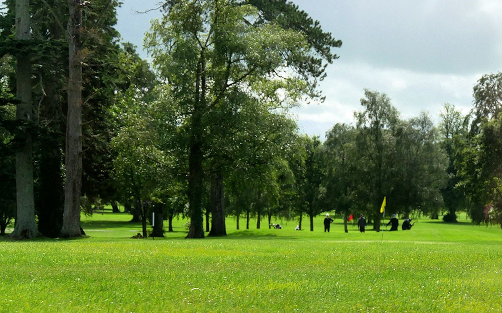 Golfers gather near a yellow flag on a tree-lined fairway