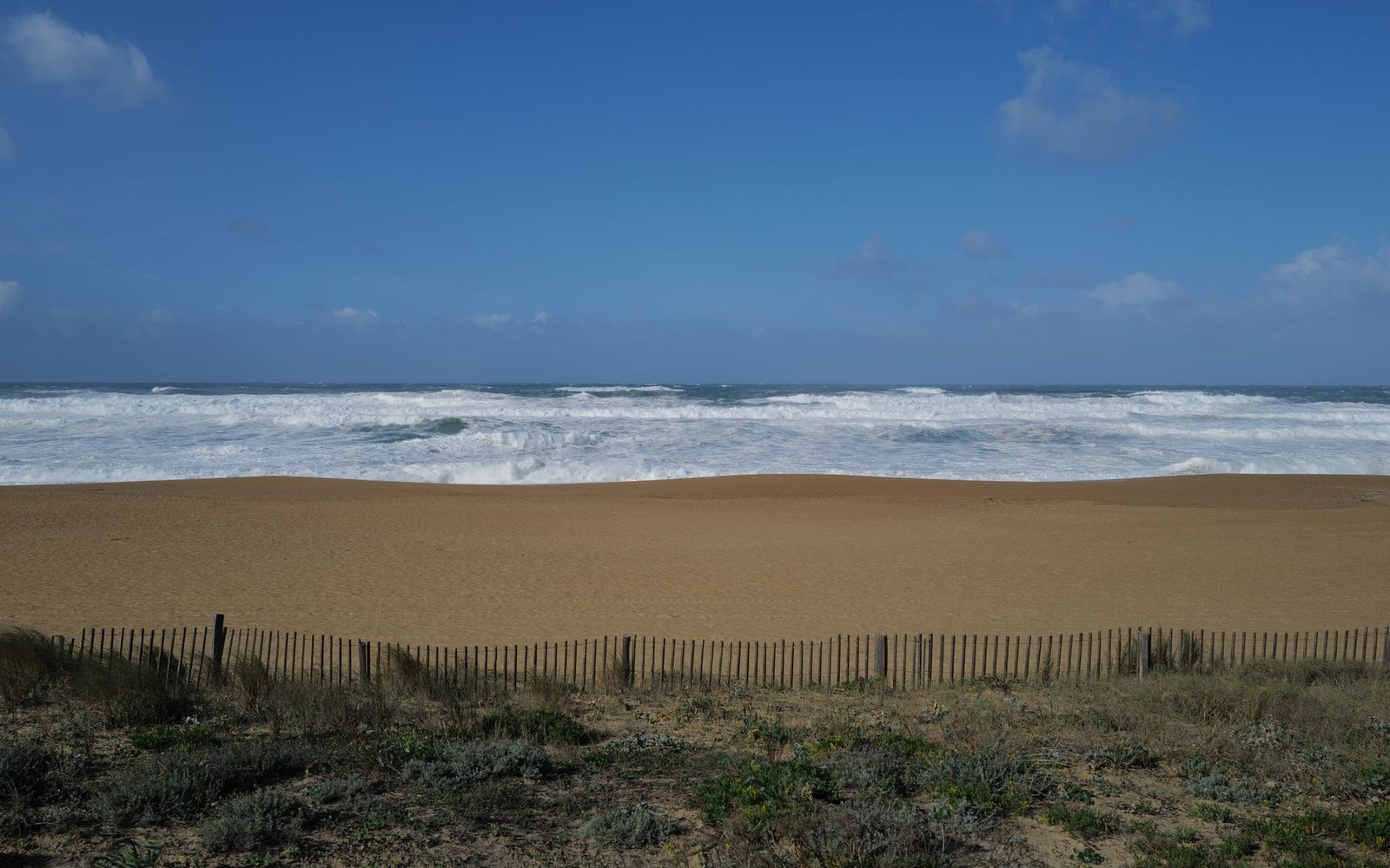 Wooden fence bordering dune grass overlooking a sandy beach with breaking waves