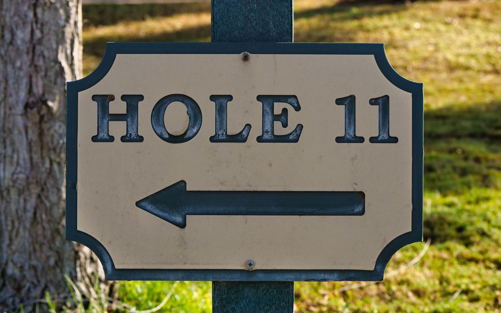 A golf course sign reading "Hole 11" with an arrow pointing left