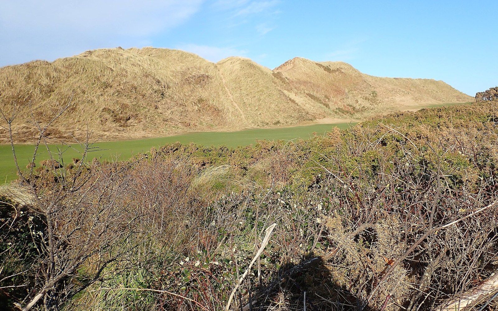 Grassy fairway winding through tall dune ridges with scrubby vegetation in the foreground
